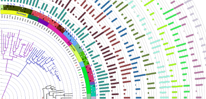 data visualisation