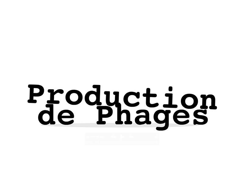 Production de phages
