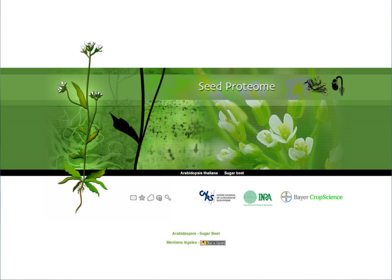 Seed proteome